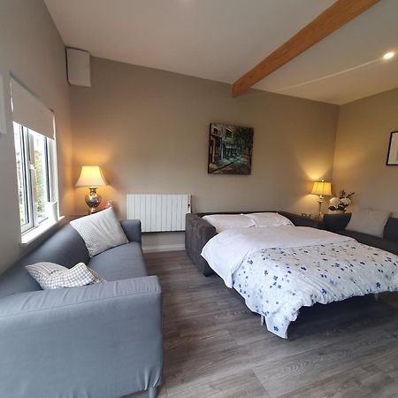 Garden Chalet Oranmore Apartman Galway Kültér fotó
